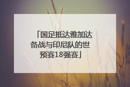国足抵达雅加达备战与印尼队的世预赛18强赛