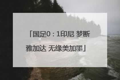 国足0∶1印尼 梦断雅加达 无缘美加墨