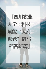 四川农业大学：科技赋能“天府粮仓”谱写稻香新篇