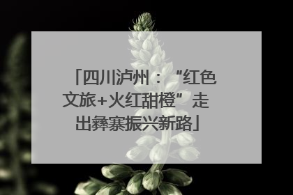 四川泸州：“红色文旅+火红甜橙”走出彝寨振兴新路