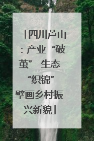 四川芦山：产业“破茧” 生态“织锦” 擘画乡村振兴新貌