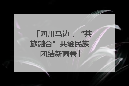 四川马边：“茶旅融合”共绘民族团结新画卷