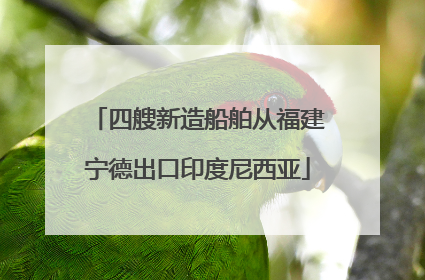 四艘新造船舶从福建宁德出口印度尼西亚