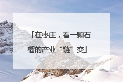 在枣庄，看一颗石榴的产业“链”变