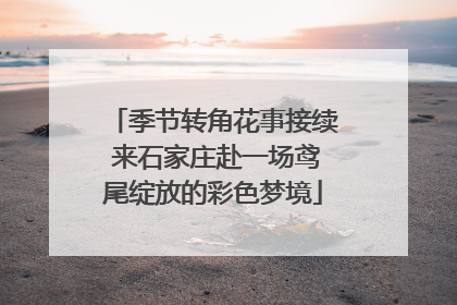 季节转角花事接续 来石家庄赴一场鸢尾绽放的彩色梦境