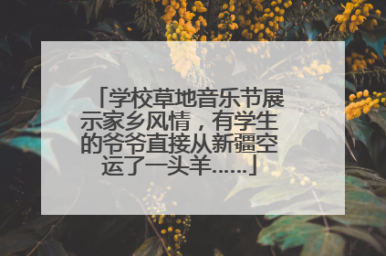 学校草地音乐节展示家乡风情，有学生的爷爷直接从新疆空运了一头羊……