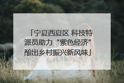 宁夏西夏区 科技特派员助力“紫色经济”酿出乡村振兴新风味