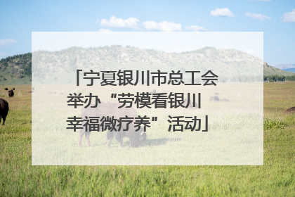 宁夏银川市总工会举办“劳模看银川 幸福微疗养”活动