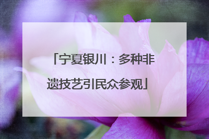 宁夏银川：多种非遗技艺引民众参观