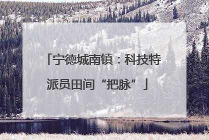 宁德城南镇：科技特派员田间“把脉”