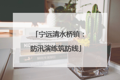 宁远清水桥镇：防汛演练筑防线