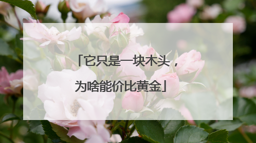 它只是一块木头，为啥能价比黄金