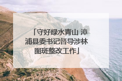 守好绿水青山 漳浦县委书记督导涉林图斑整改工作