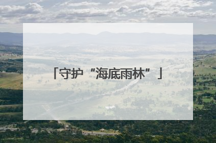守护“海底雨林”