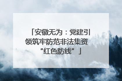 安徽无为：党建引领筑牢防范非法集资“红色防线”