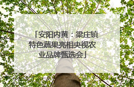 安阳内黄：梁庄镇特色蔬果亮相央视农业品牌甄选会