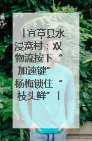 宜章县水浸窝村：双物流按下“加速键” 杨梅锁住“枝头鲜”