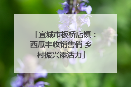 宜城市板桥店镇：西瓜丰收销售俏 乡村振兴添活力