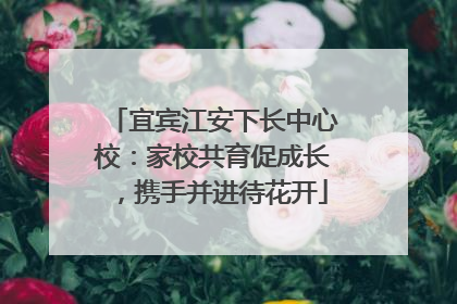 宜宾江安下长中心校：家校共育促成长，携手并进待花开