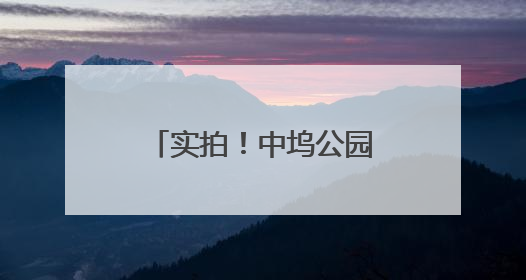 实拍！中坞公园京西稻插秧啦