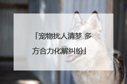 宠物扰人清梦 多方合力化解纠纷
