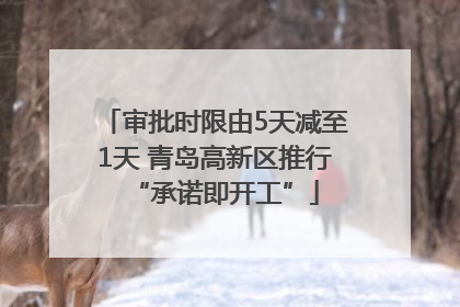 审批时限由5天减至1天 青岛高新区推行“承诺即开工”