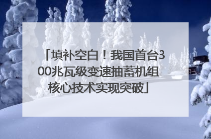 填补空白！我国首台300兆瓦级变速抽蓄机组核心技术实现突破