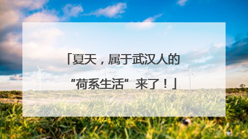 夏天，属于武汉人的“荷系生活”来了！