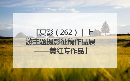 夏影（262）｜上游主题摄影征稿作品展——黄红专作品