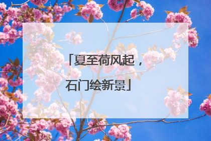 夏至荷风起，石门绘新景