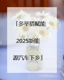 多举措赋能2025新能源汽车下乡