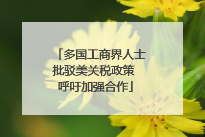 多国工商界人士批驳美关税政策 呼吁加强合作