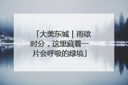 大美东城｜雨歇时分，这里藏着一片会呼吸的绿境