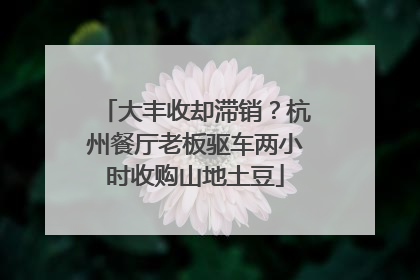 大丰收却滞销？杭州餐厅老板驱车两小时收购山地土豆