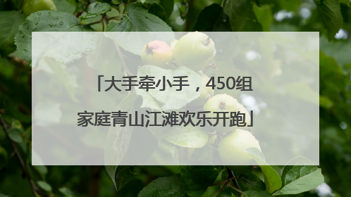 大手牵小手，450组家庭青山江滩欢乐开跑