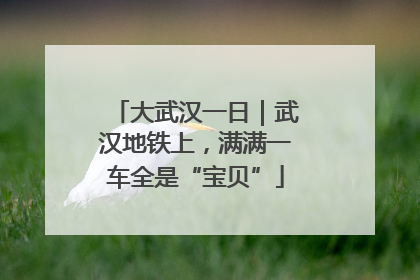 大武汉一日｜武汉地铁上，满满一车全是“宝贝”
