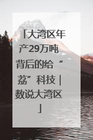 大湾区年产29万吨背后的给“荔”科技｜数说大湾区