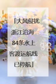 大风侵扰浙江沿海 84条水上客渡运航线已停航
