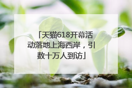 天猫618开幕活动落地上海西岸，引数十万人到访