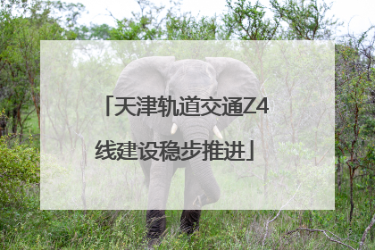 天津轨道交通Z4线建设稳步推进