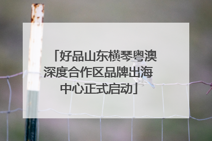 好品山东横琴粤澳深度合作区品牌出海中心正式启动