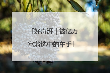 好奇湃｜被亿万富翁选中的车手