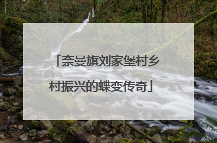奈曼旗刘家堡村乡村振兴的蝶变传奇