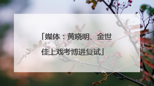 媒体：黄晓明、金世佳上戏考博进复试