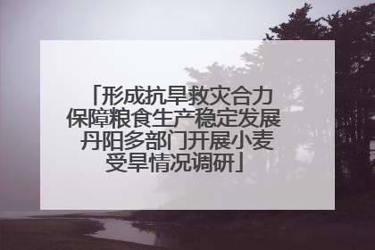 形成抗旱救灾合力 保障粮食生产稳定发展 丹阳多部门开展小麦受旱情况调研
