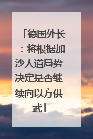 德国外长：将根据加沙人道局势决定是否继续向以方供武