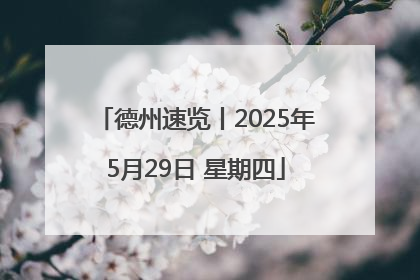 德州速览丨2025年5月29日 星期四
