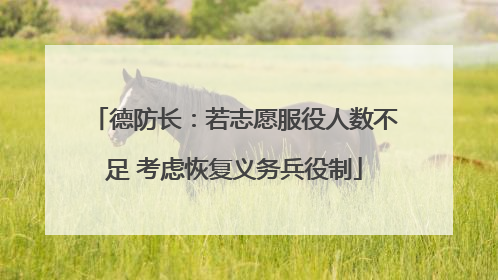 德防长：若志愿服役人数不足 考虑恢复义务兵役制