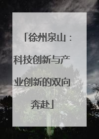 徐州泉山：科技创新与产业创新的双向奔赴