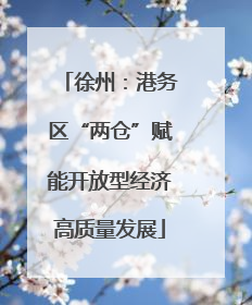徐州：港务区“两仓”赋能开放型经济高质量发展